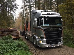 Silberner Scania Holztransporter LKW auf Waldweg, mit leuchtenden LED-Zusatzleuchten.