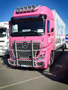 Pinker Actros LKW mit silbernem Trux Dachlampenb�gel aus Aluminium und mehreren Zusatzscheinwerfern.