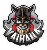 DTS Aufkleber Viking Valhalla