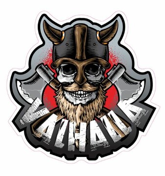 DTS Aufkleber Viking Valhalla